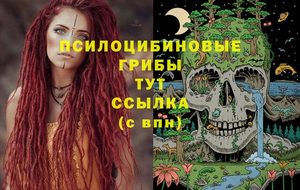 apvp Михайлов